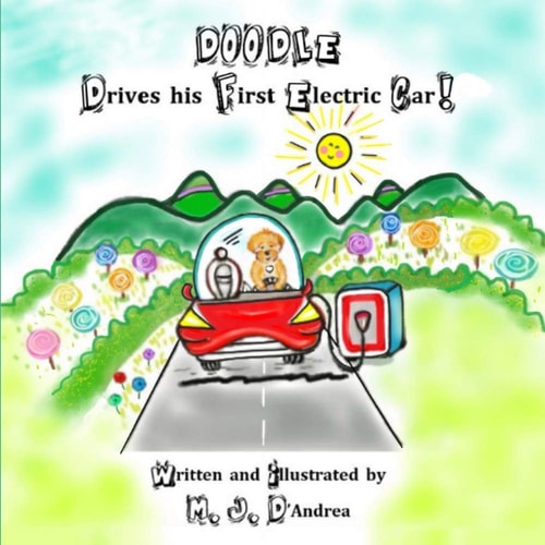 DOODLE Drives His First Electric Car!
