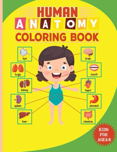Human Anatomy Coloring Book For Kids Kindergarten Anatomy Human Bone Flashcards Coloring Book for Toddlers Study Guide Coloring Workbook Great Gift for Boys & Girls