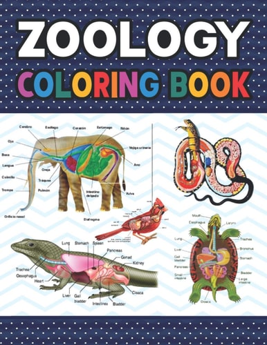 Zoology Coloring Book Zoology Self Test Guide for Anatomy Students. Animal Art & Anatomy Workbook for Kids & Adults. Perfect Gift for Zoology Students & Teachers. Zoology Coloring Workbook for Kids & Adults.