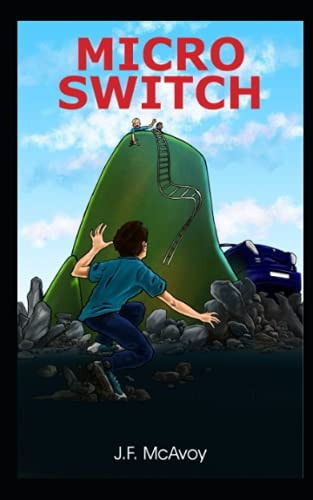 Micro Switch