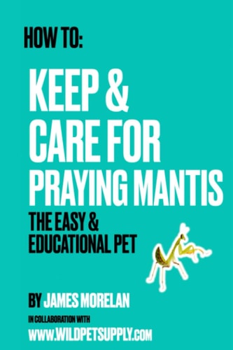 How To Keep & Care for Praying Mantis: The Easy & Educational Pet: Pet Praying Mantis Care Guide