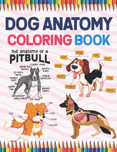 Dog Anatomy Coloring Book Dog Anatomy Coloring Book for Kids & Adults. The New Surprising Magnificent Learning Structure For Veterinary Anatomy Students. Veterinary Anatomy & Physiology Coloring Book. Dog Anatomy Coloring Book for Dog Lovers.
