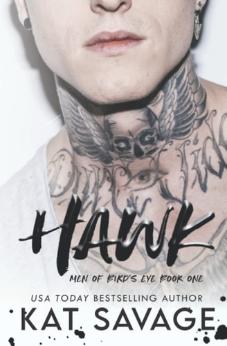 Hawk A Bad Boy Single Mom Romantic Comedy
