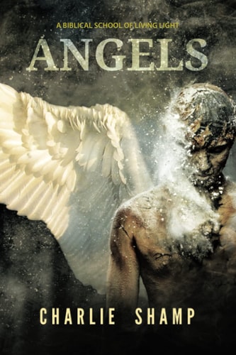 Angels A Biblical School of Living Light
