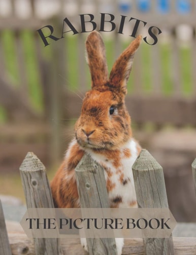 Rabbits The Picture Book of Cute Rabbits Perfect Gift for Patients, Seniors & Dementia