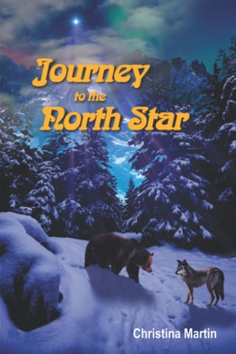 Journey to the North Star