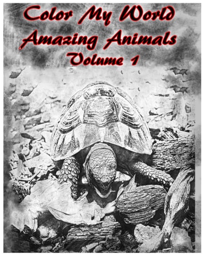 Color My World Amazing Animals: Volume 1