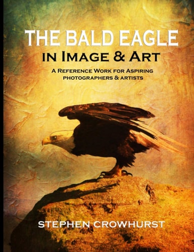 The Bald Eagle in Image & Art A Reference Work for Aspiring Photographers & Artists