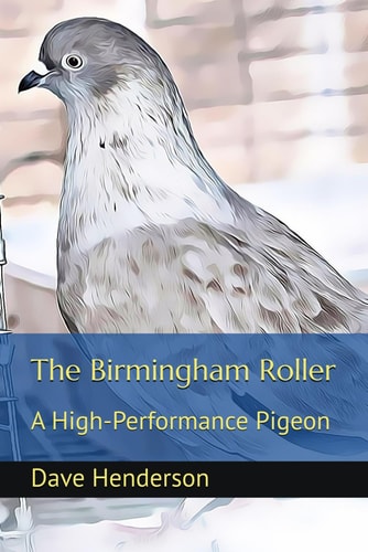 The Birmingham Roller A High-Performance Pigeon