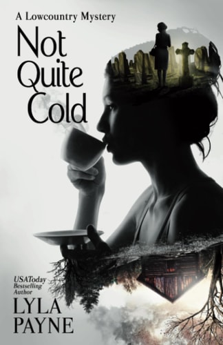 Not Quite Cold (A Lowcountry Mystery)
