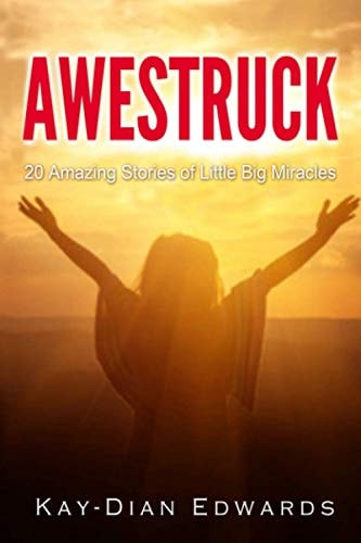 Awestruck 20 Amazing Stories of Little Big Miracles