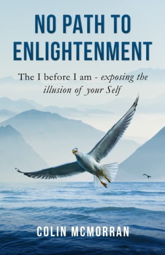 No Path to Enlightenment The I Before I Am - Exposing the Illusion of Your Self