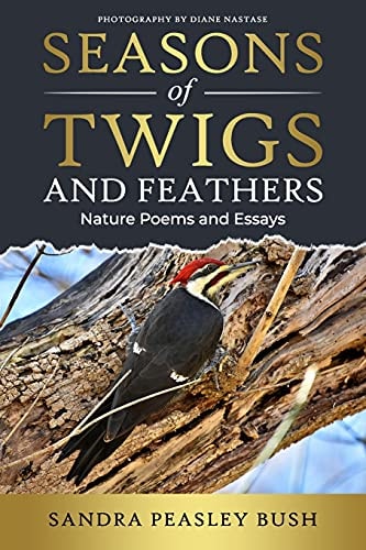 Seasons of Twigs and Feathers Nature Poems and Essays