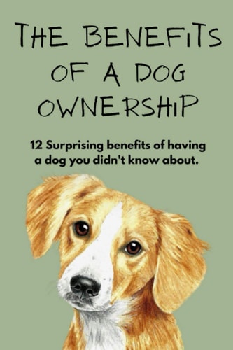 The Benefits Of A Dog Ownership 12 Surprising Benefits Of Having A Dog You Didn't Know About.