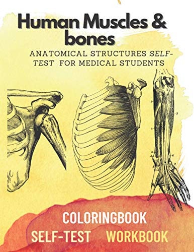 Human Muscles & Bones Anatomical Structures Self-test for Medical Students