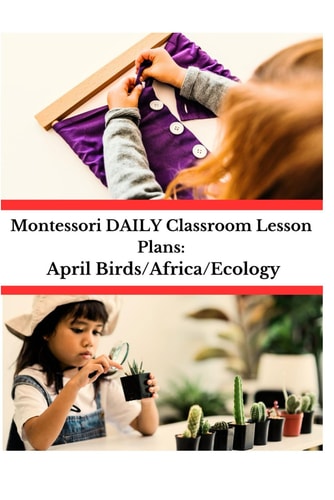 MONTESSORI DAILY CLASSROOM LESSON PLANS April Birds/africa/ecology
