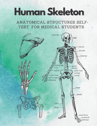 Human Skeleton, Anatomical Structures Self-test for Medical Students Kull, Ribs, Arm & Leg Bones, Pelvis, Spine