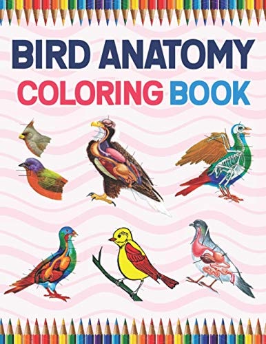 Bird Anatomy Coloring Book Ornithology Coloring Book for Ornithologist. Bird Anatomy Coloring Book for Kids & Adults. The New Surprising Magnificent Learning Structure For Veterinary Anatomy Students. Veterinary Anatomy & Physiology Coloring Book.