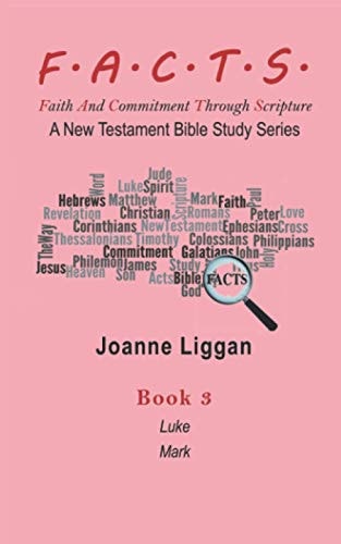 F.A.C.T.S. Bible Study Guide Book 3 A New Testament Bible Study Series