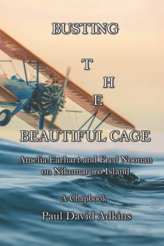 Busting the Beautiful Cage Amelia Earhart and Fred Noonan on Nikumaroro Island