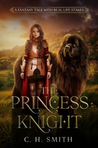 The Princess Knight A Fantasy Story with Real Life Stakes