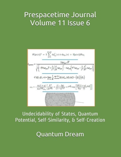 Prespacetime Journal Volume 11 Issue 6 Undecidability of States, Quantum Potential, Self-Similarity, & Self-Creation