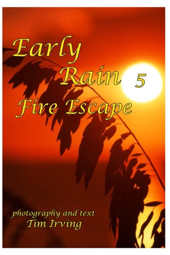 Early Rain 5