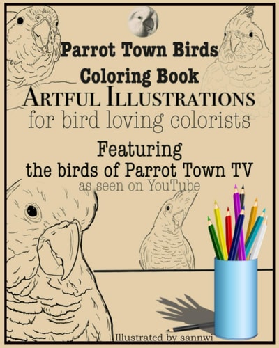 Parrot Town Birds Coloring Book Artful Illustrations for Bird Loving Colorists