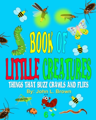 Book Of Little Creatures Things That Buzz, Crawls, And Flies