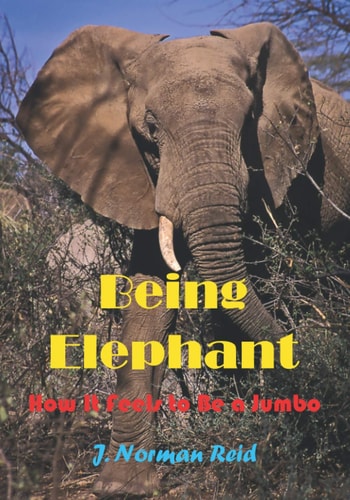 Being Elephant How It Feels to be a Jumbo
