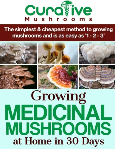 Growing Medicinal Mushrooms At Home The Easy Way The Simplest & Cheapest Way To Grow Medicinal Mushrooms At Home Even If You Have Never Grown Anything Before Now.
