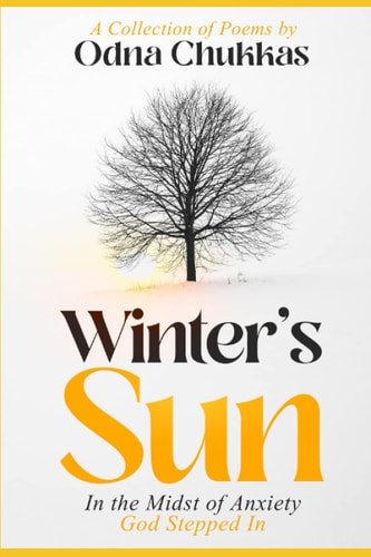 Winter's Sun In The Midst of Anxiety God Stepped In