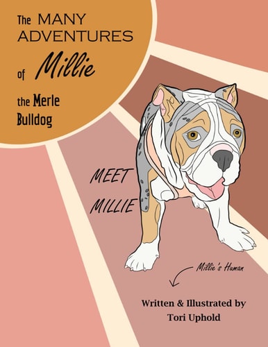 The Many Adventures of Millie the Merle Bulldog Meet Millie