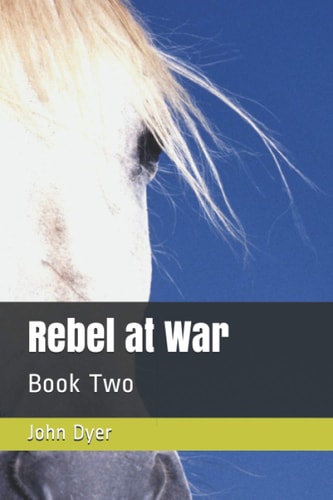 Rebel at War Book Two