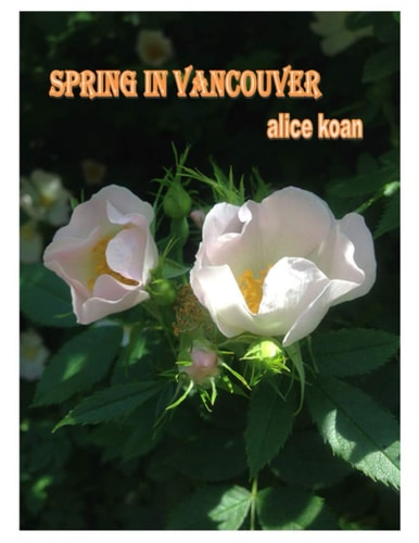 Spring in Vancouver