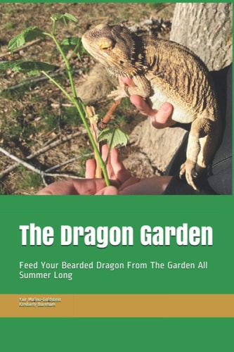 The Dragon Garden Feed Your Bearded Dragon from The Garden All Summer Long