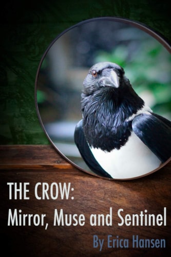 The Crow Mirror Muse and Sentinel