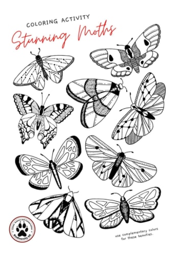 Stunning Moths Colorize the Moths