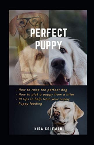 Perfect Puppy How to Raise the Perfect Dog: How to Pick a Puppy from a Litter, 10 Tips to Help Train Your Puppy, Puppy Feeding