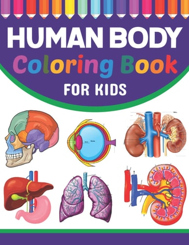 Human Body Coloring Book for Kids Collection of Simple Illustrations of Human Body Parts. Human Body Parts for Children's Boys and Girls. Brain Heart Lung Liver Figure Ear Anatomy Coloring Book. Human Anatomy Coloring Pages for Kids Toddler Teen