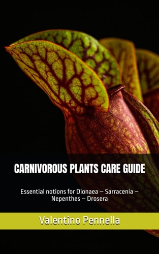 Carnivorous Plants Care Guide Essential Notions for Dionaea - Sarracenia - Nepenthes - Drosera