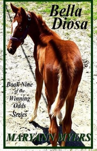 Bella Diosa Book Nine of the Winning Odds Series