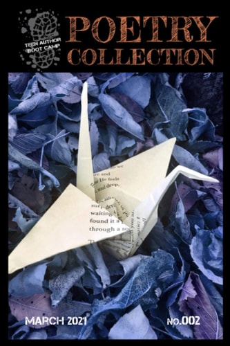 Teen Author Boot Camp Poetry Collection Volume 2