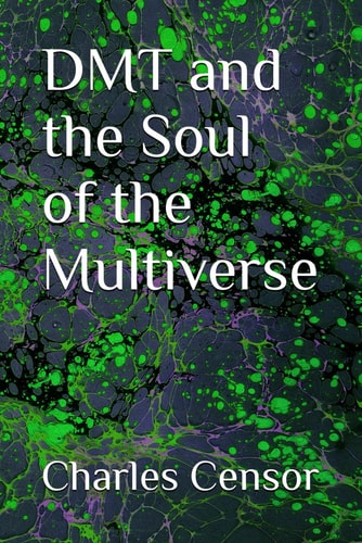 DMT and the Soul of the Multiverse