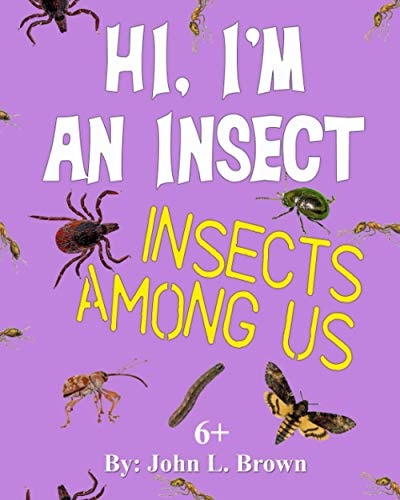 HI, I'm An Insect Insects Among Us