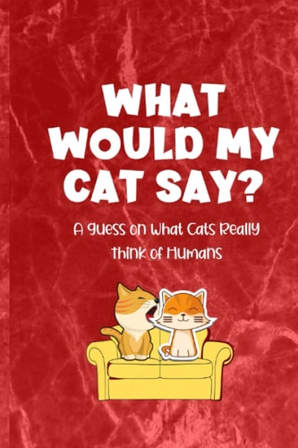 What Would My Cat Say? A Guess on What Cats Really Think of Humans