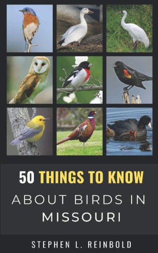 50 Things to Know About Birds in Missouri Birds to Watch in the Show Me State