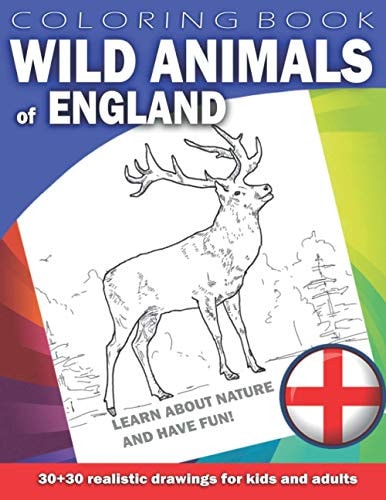 WILD ANIMALS OF ENGLAND Coloring Book for Kids & Adults Learn about Nature and Have Fun! 30 X 30 Realistic Drawings