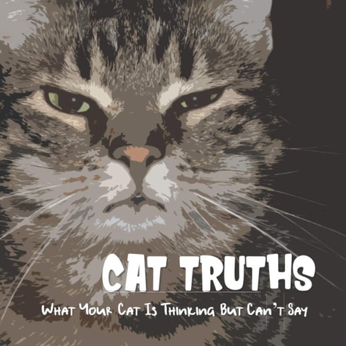 Cat Truths What Your Cat Is Thinking But Can't Say A Funny Cat Quote Gift Book