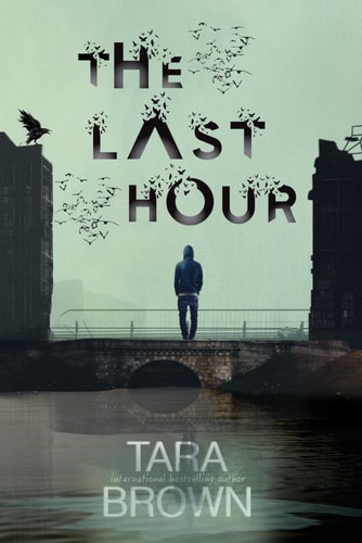 The Last Hour A Post-Apocalyptic Survival Thriller